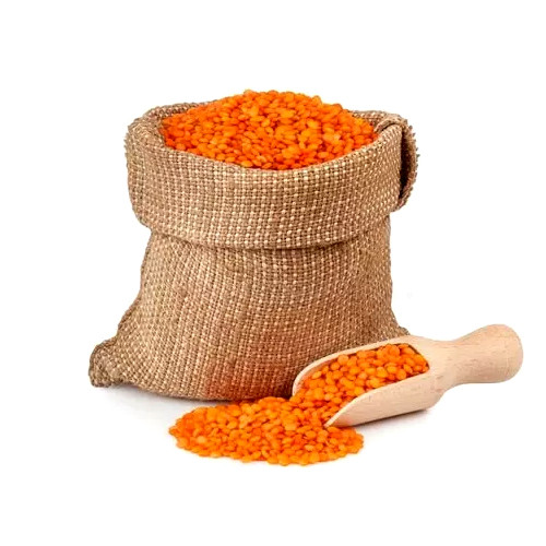Lentil